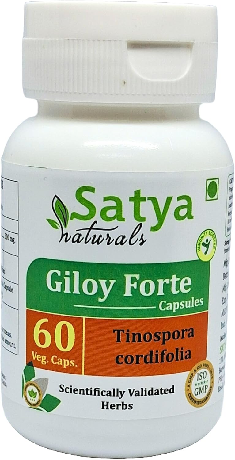 Indian Ayurvedic Giloy Forte Capsules 500mg - Guduchi Extract Supplement for Men and Women - 240 Capsules in Total