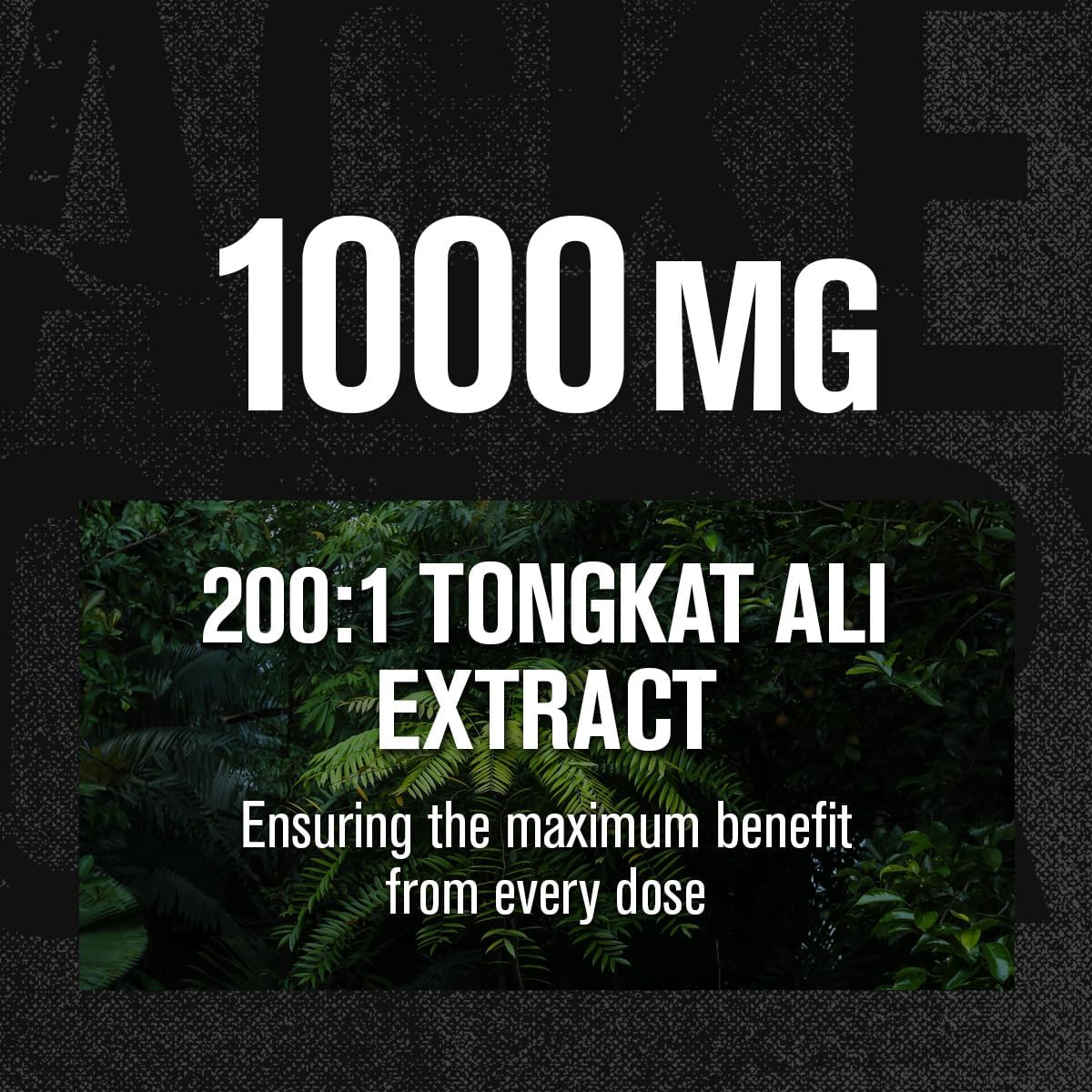 Indonesian Tongkat Ali 200:1 Extract Capsules for Men - Vitality and Energy Support Formula for Mood and Recovery - 120 Caps
