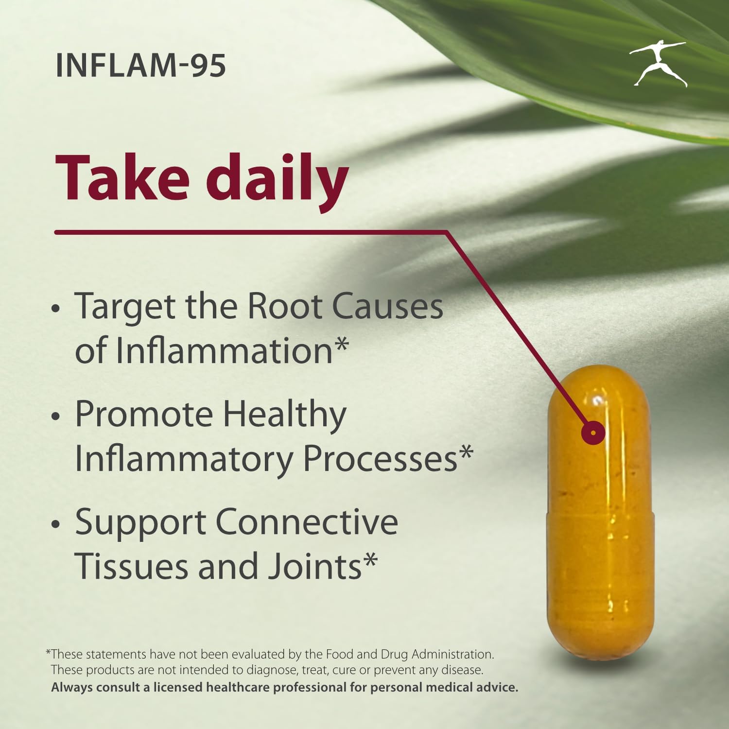 Inflam-95 Supplement with Ginger Root, Curcumin, Boswellia, Nettle Leaf, Bioperine for Healthy Inflammatory Response