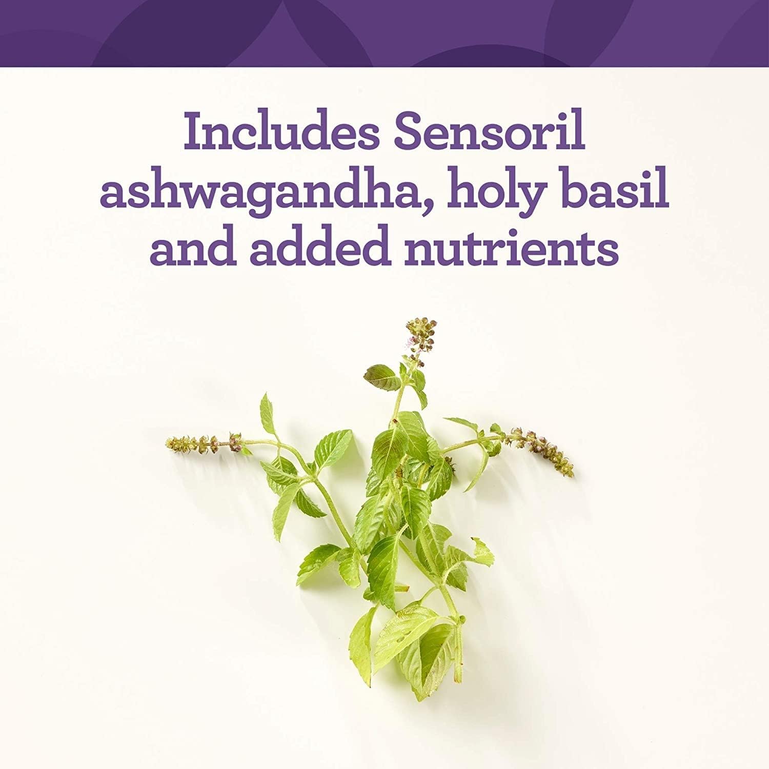 INNATE Response Formulas Thyroid Support Supplement with Ashwagandha - Promotes Healthy Thyroid Function - Vegetarian, Gluten-Free, Non-GMO - 90 Tablets
