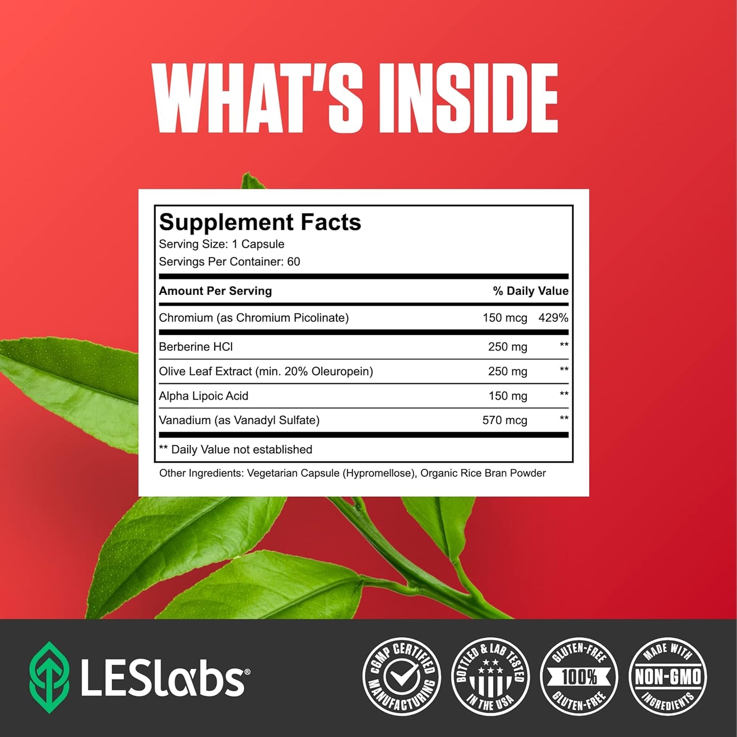 Insulin Health Support Supplement with Berberine, Chromium, Olive Leaf, Alpha Lipoic Acid & Vanadium - 60 Capsules