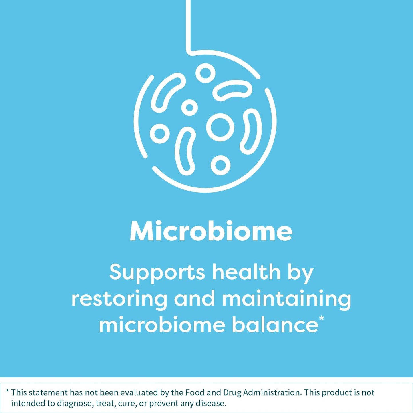 Interfase Plus Enzyme Combination with EDTA - Supports Gastrointestinal Health, Gut Flora, Biofilm Disruption, and Detox - 60 Capsules