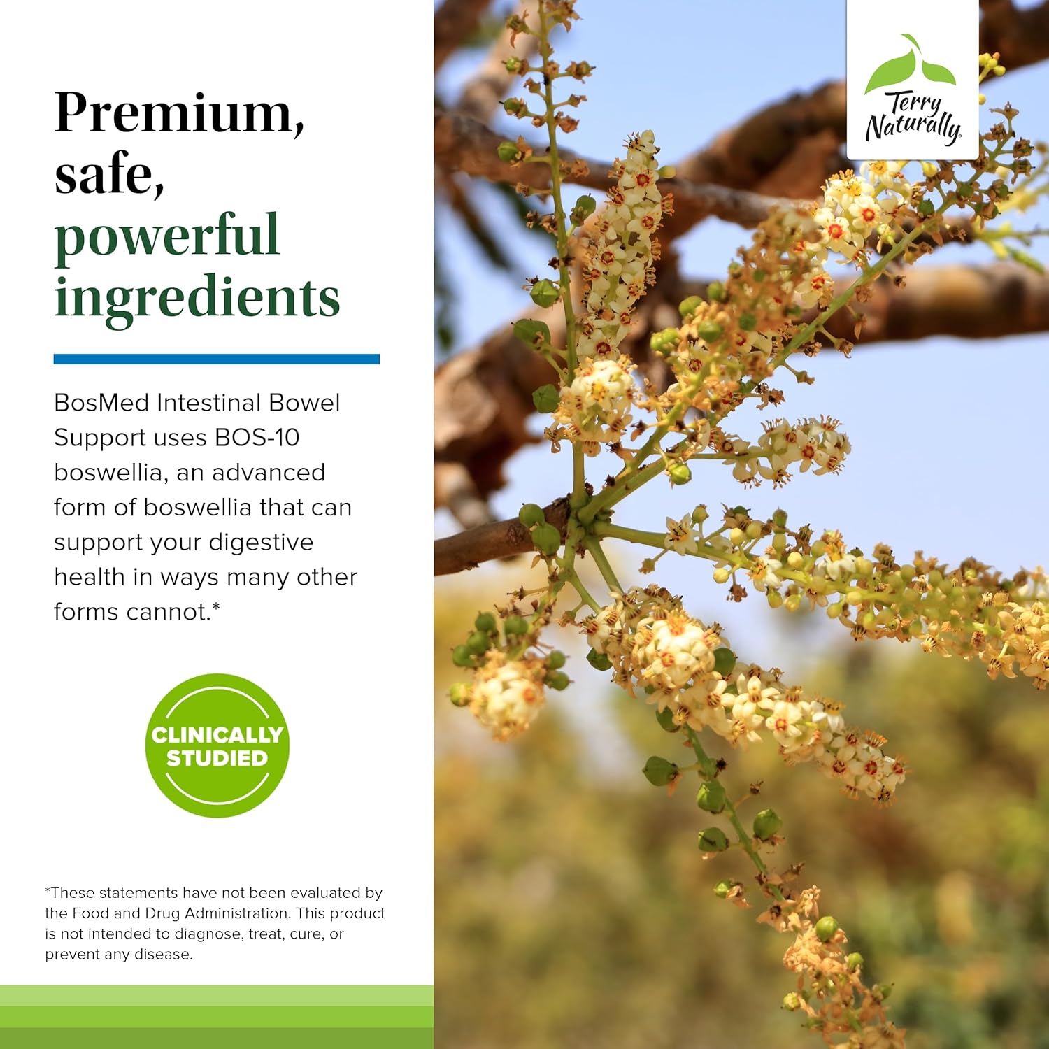 Intestinal Bowel Support Softgels with Coriander, Fennel, Carraway, Peppermint - Gut Health Supplement for Digestive Support - 60 Softgels