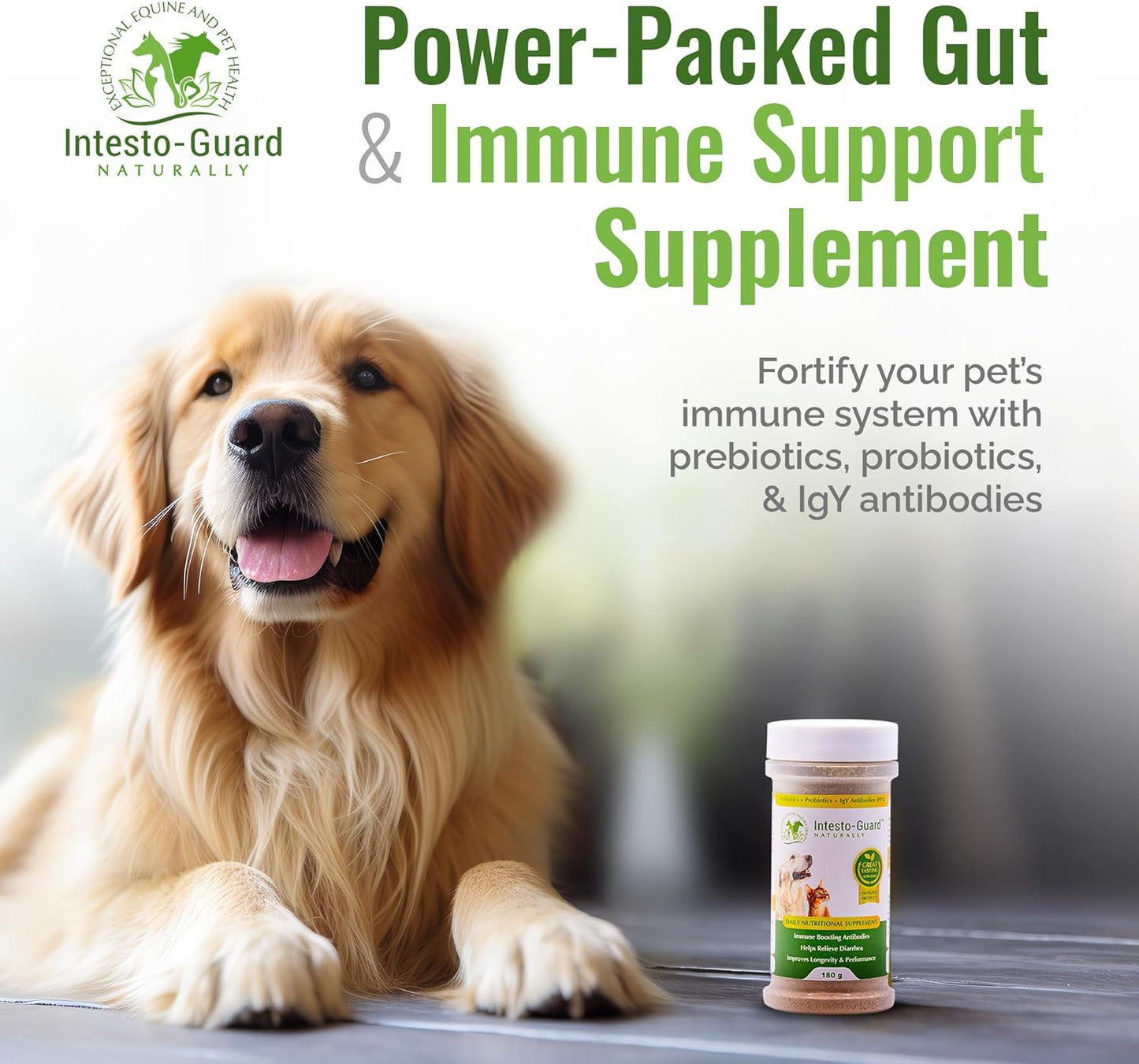 Intesto-Guard Probiotic Powder for Dogs & Cats - Prebiotic & Probiotics for Bowel, Digestive & Immune Support - 90 Day Supply - All-Natural