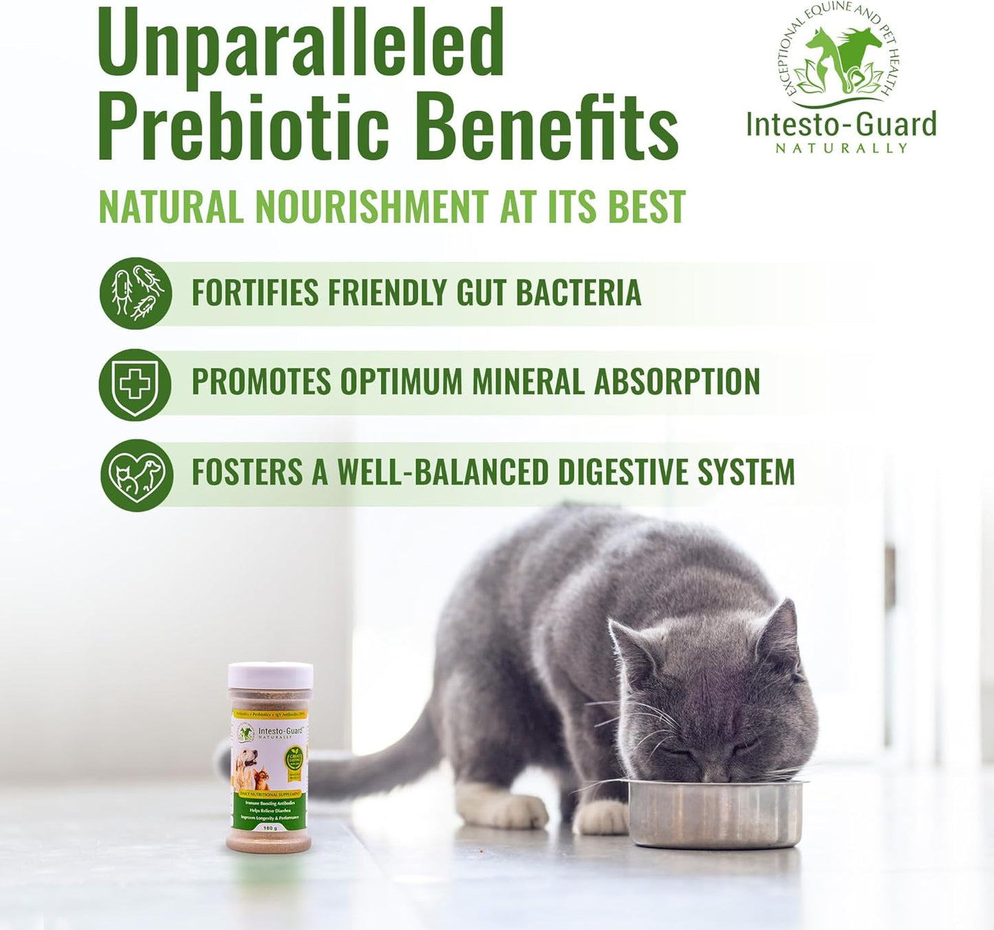 Intesto-Guard Probiotic Powder for Dogs & Cats - Prebiotic & Probiotics for Bowel, Digestive & Immune Support - 90 Day Supply - All-Natural