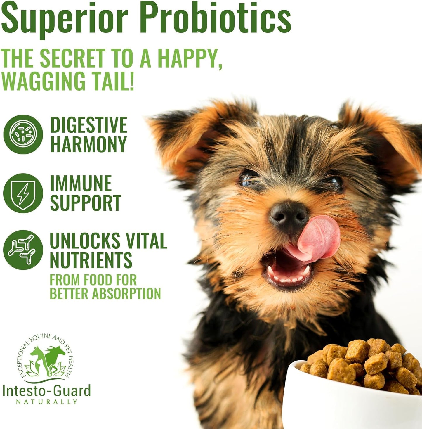 Intesto-Guard Probiotic Powder for Dogs & Cats - Prebiotic & Probiotics for Bowel, Digestive & Immune Support - 90 Day Supply - All-Natural