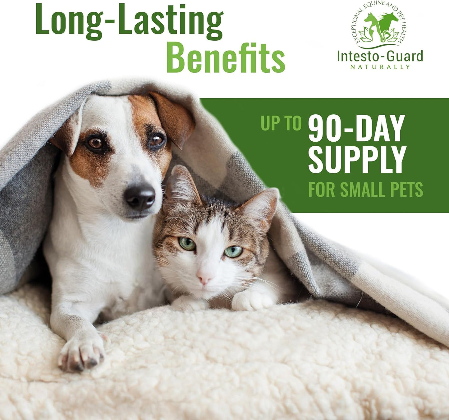 Intesto-Guard Probiotic Powder for Dogs & Cats - Prebiotic & Probiotics for Bowel, Digestive & Immune Support - 90 Day Supply - All-Natural