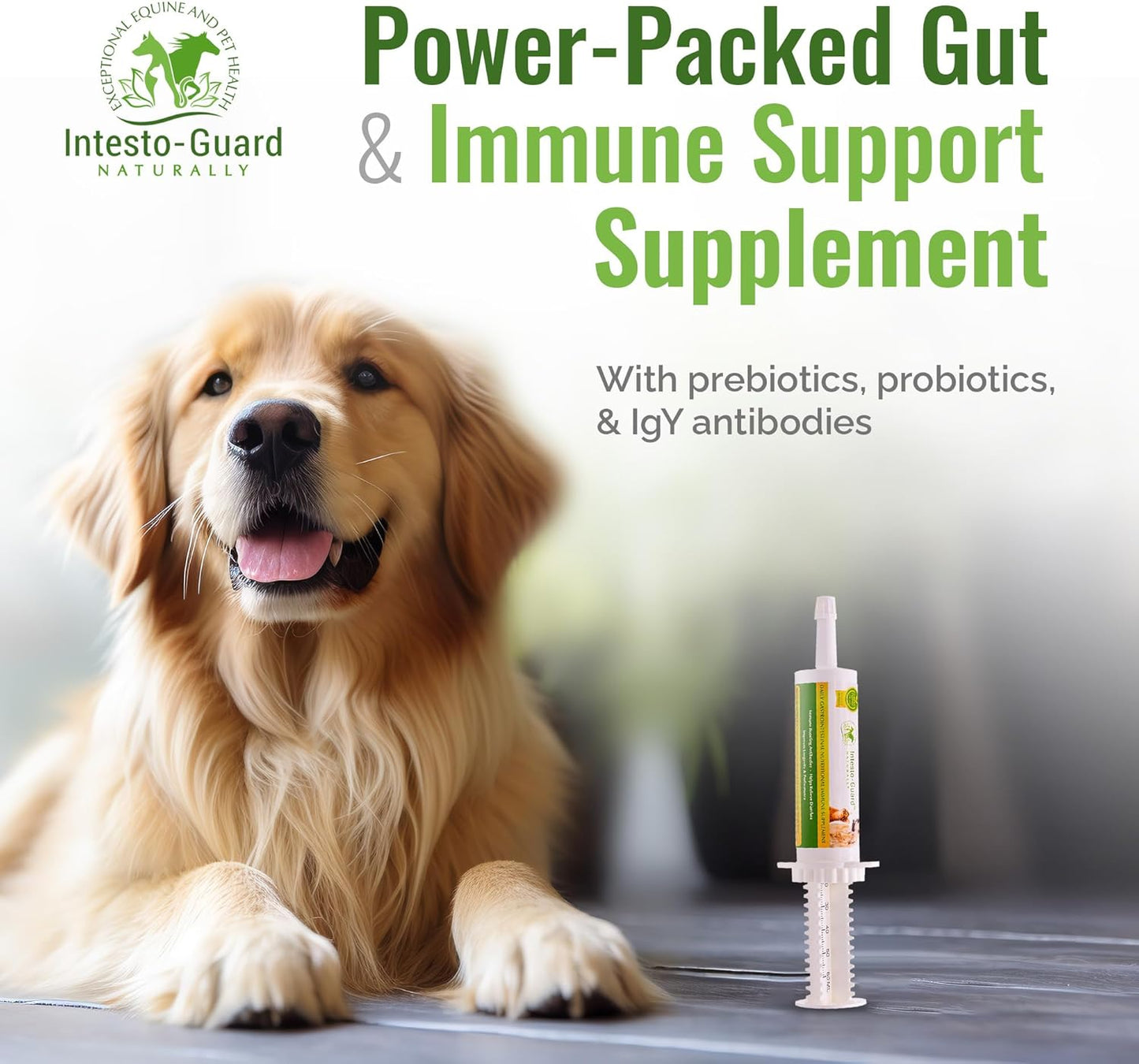 Intesto-Guard Probiotics Paste 60ML for Dogs & Cats | Helps with Diarrhea & Immune Health | IgY Antibodies | Made in USA