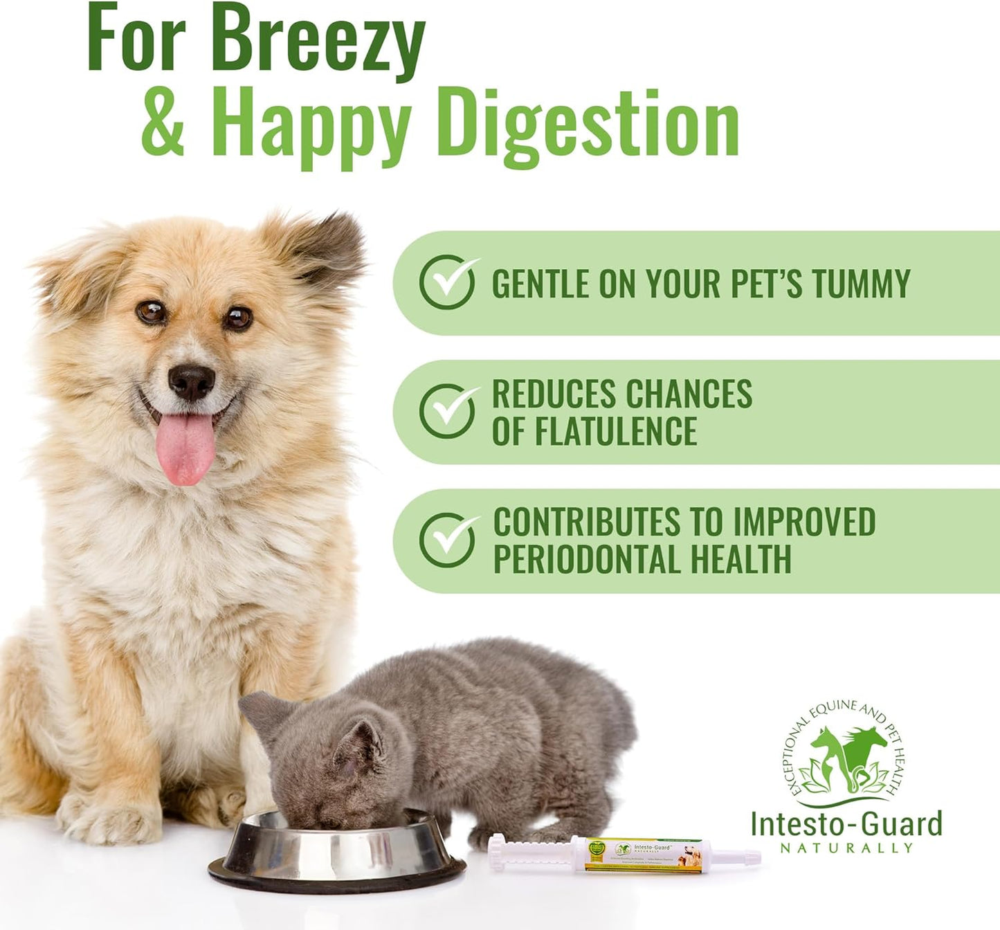Intesto-Guard Probiotics Paste 60ML for Dogs & Cats | Helps with Diarrhea & Immune Health | IgY Antibodies | Made in USA