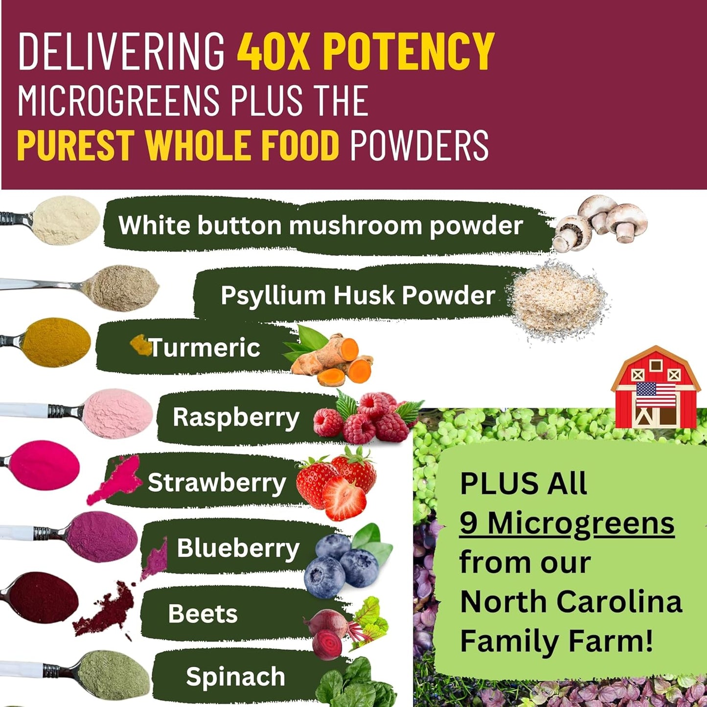 Invisible Nutrition Powder for Extreme Picky Eaters - Organic Superfood Boost for ARFID & ASD - 40x Nutrient-Rich with Sulforaphane - 72 Servings