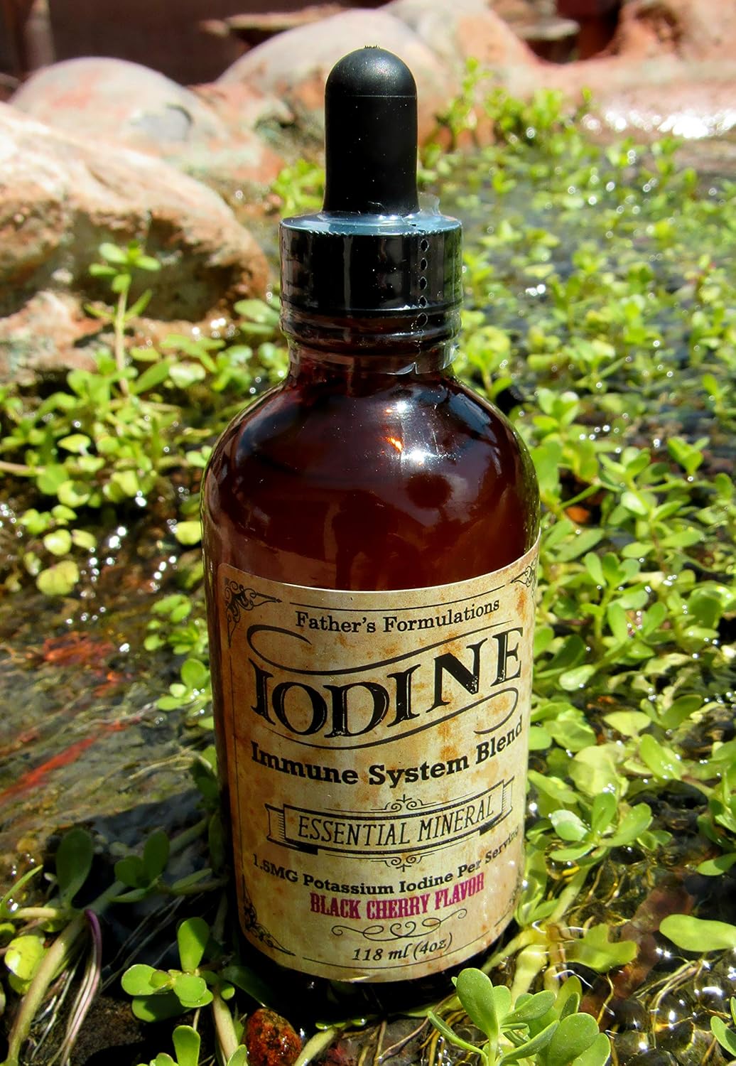 Iodine Supplement Drops for Thyroid Support, Immune System Boost, Focus, Energy - 4oz, Great Taste, Highly Absorbable