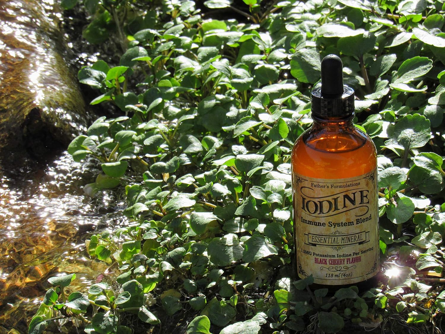 Iodine Supplement Drops for Thyroid Support, Immune System Boost, Focus, Energy - 4oz, Great Taste, Highly Absorbable