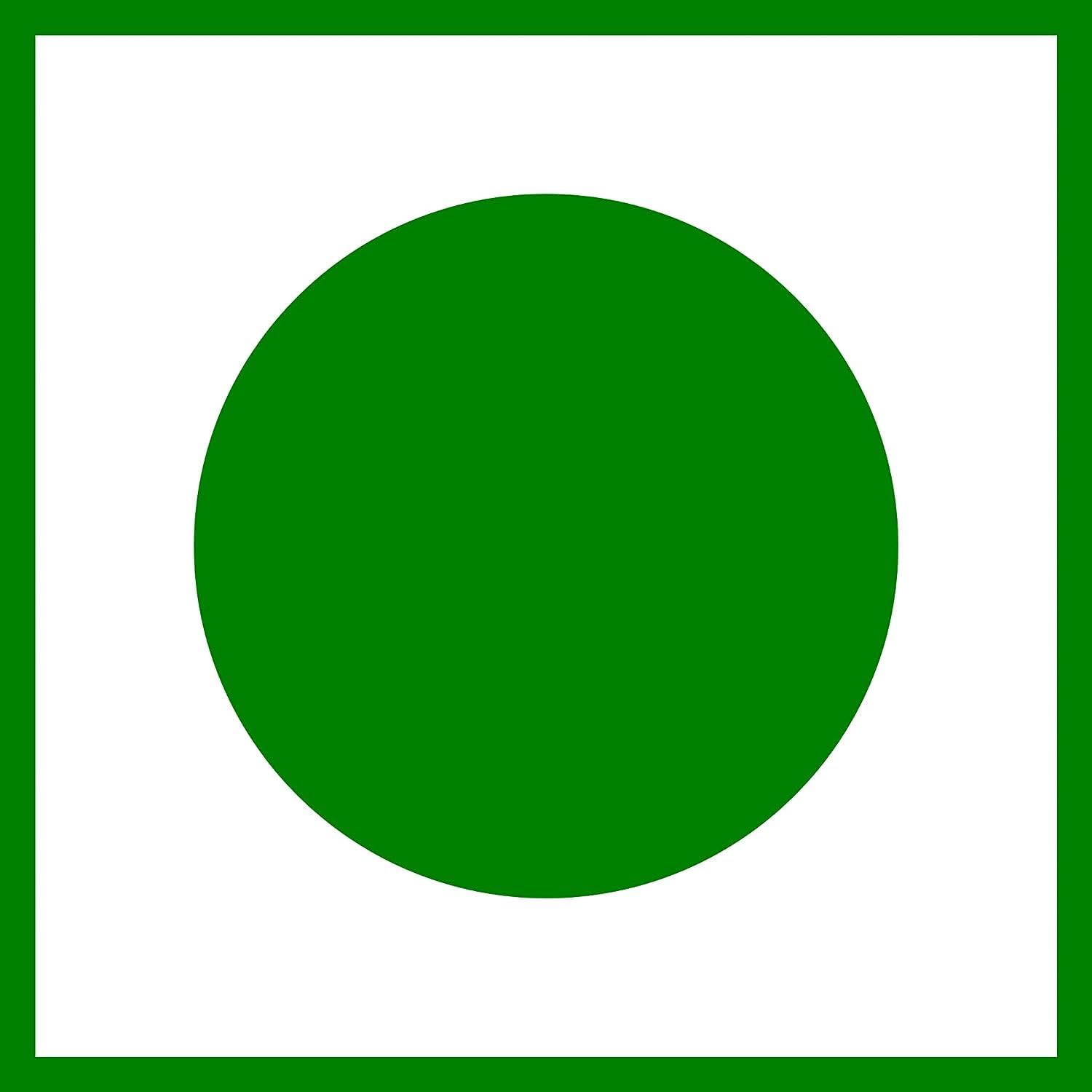 Iron B12 Folic Acid Vitamin C Capsules for Energy, Stamina, Immune Support - 30 Count Pack