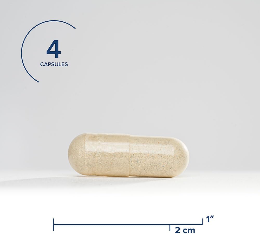 Iron Multivitamin for Energy & Immune Support - Includes Magnesium & Vitamin B12 - 45mg, 120 Capsules