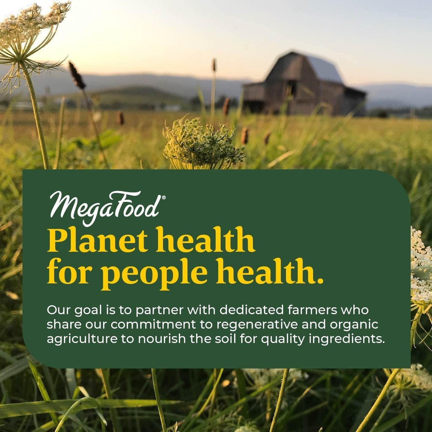 Iron Supplement for Women: MegaFood Blood Builder with Vitamin C, B12, and Folic Acid - Vegan Formula for Increased Iron Levels - 60 Tablets