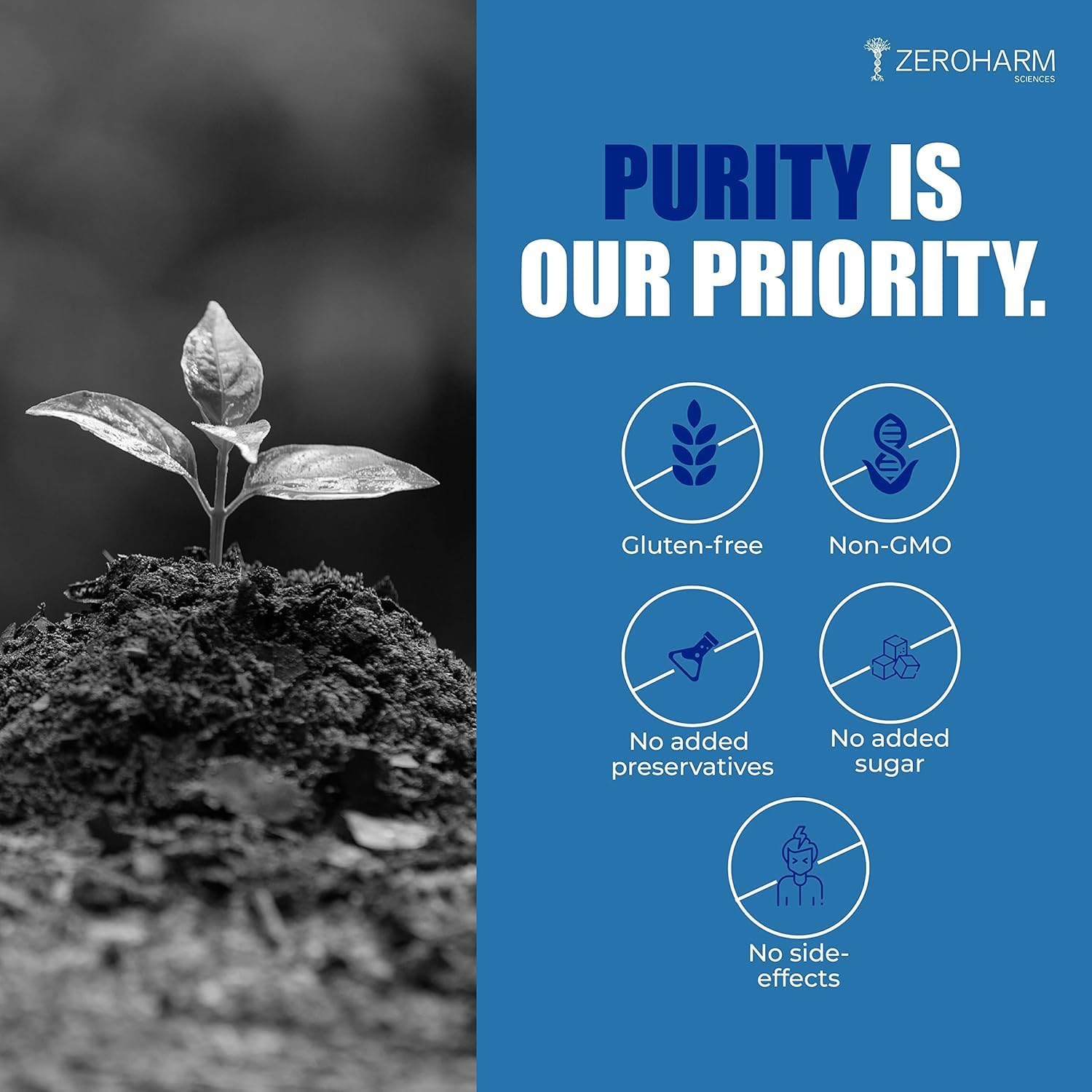 Iron, Zinc, and Folic Acid Tablets - 60 Count - Supports Overall Health and Wellness