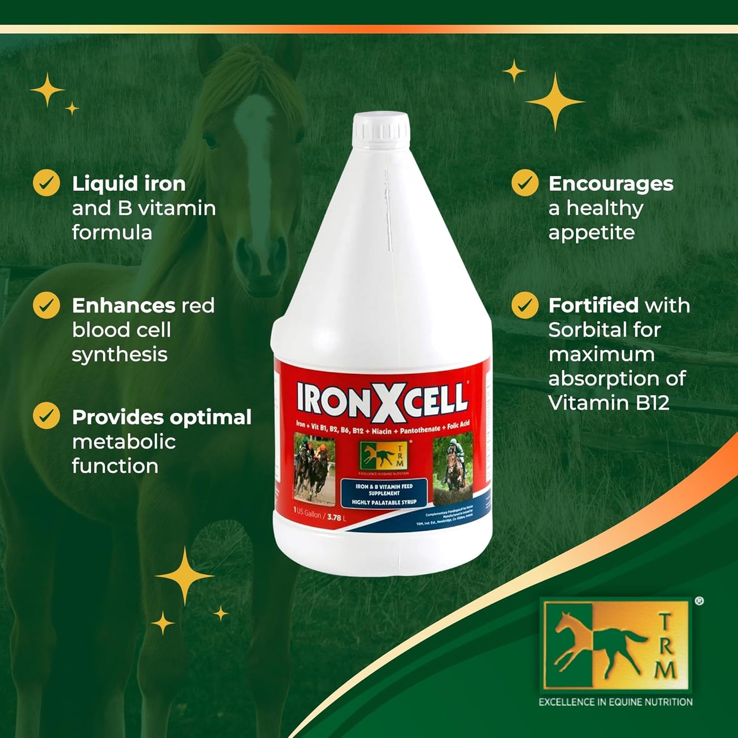 IronXcell Liquid Horse Feed Supplement for Enhanced Metabolism, Hindgut Health, and Performance - 126 fl oz/1 US Gal