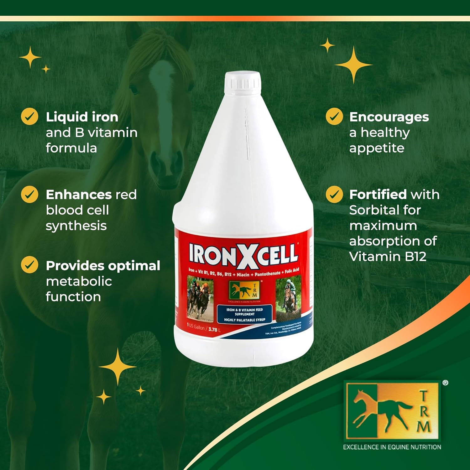 IronXcell Liquid Horse Feed Supplement for Enhanced Metabolism, Hindgut Health, and Performance - 126 fl oz/1 US Gal