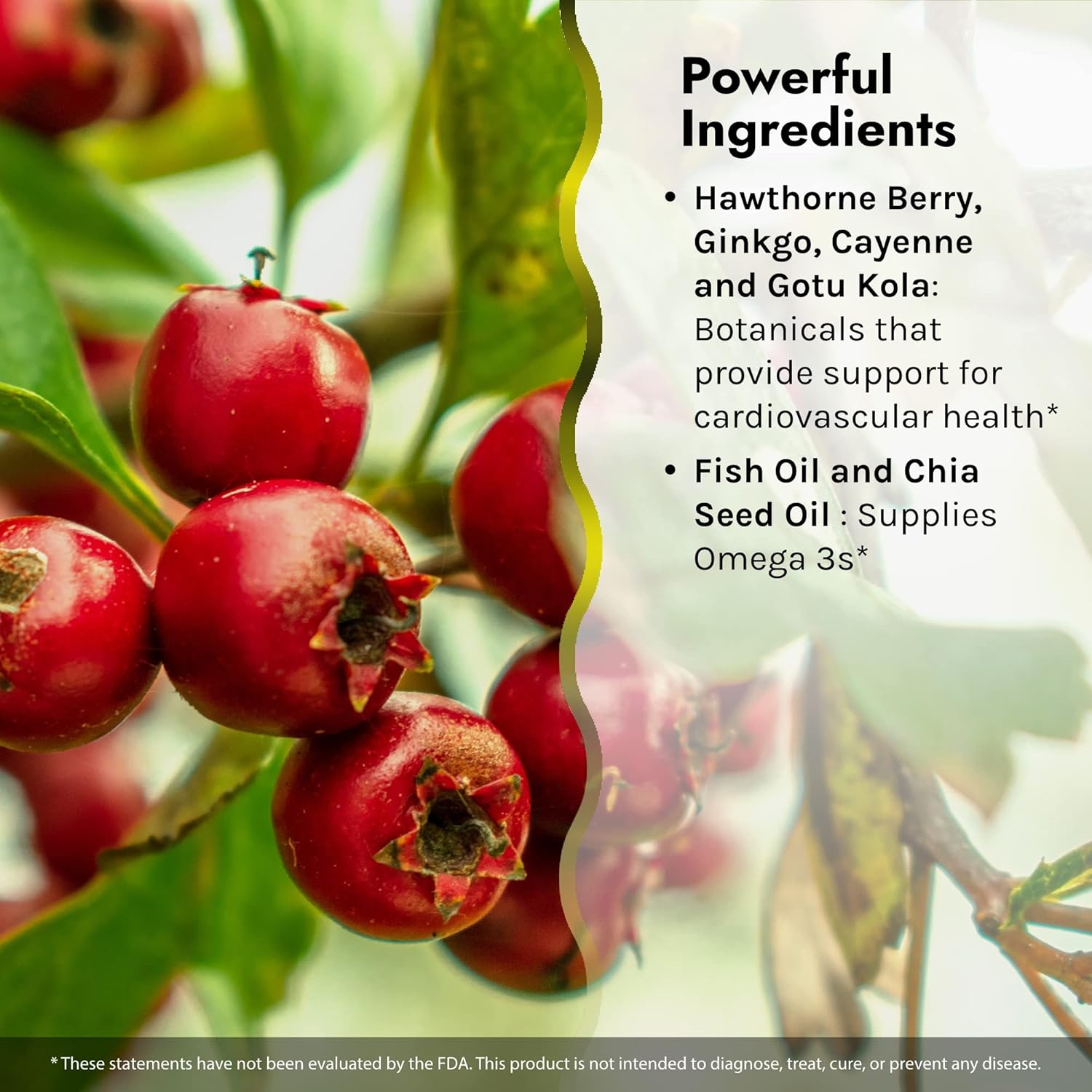 Irwin Naturals CoQ10-Plus with Chia Seed Oil for Optimal Heart Health - 60 Liquid Soft-Gels