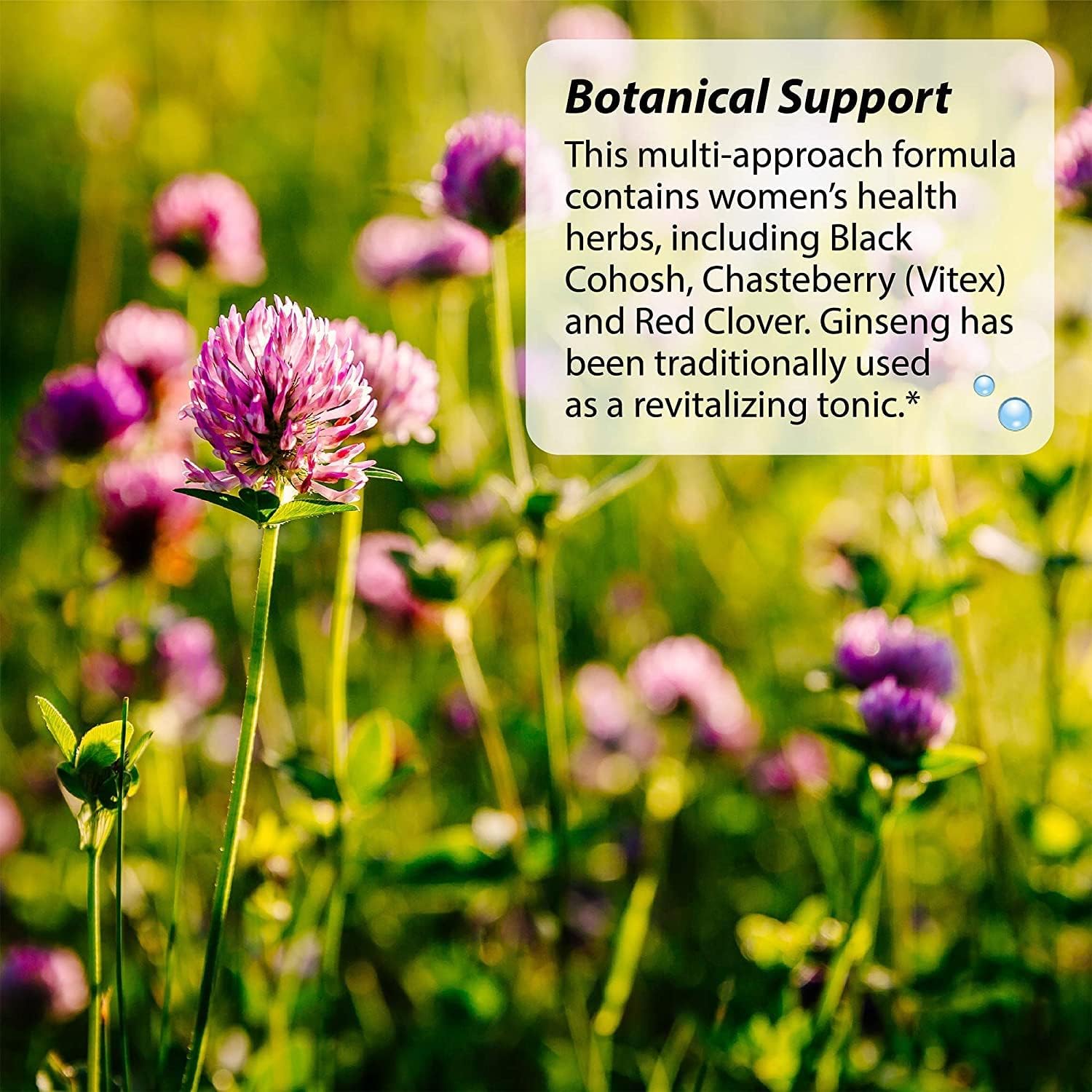 Irwin Naturals EstroPause Menopause & Women's Health Support Supplement - Herbal & Mineral Blend - 80 Liquid Softgels