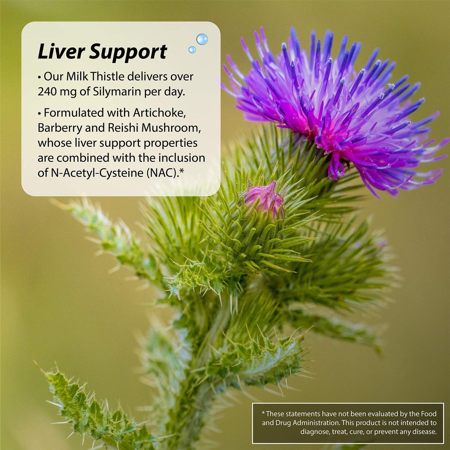 Irwin Naturals Kidney & Liver Super Cleanse - 2-in-1 Formula - 60 Softgels