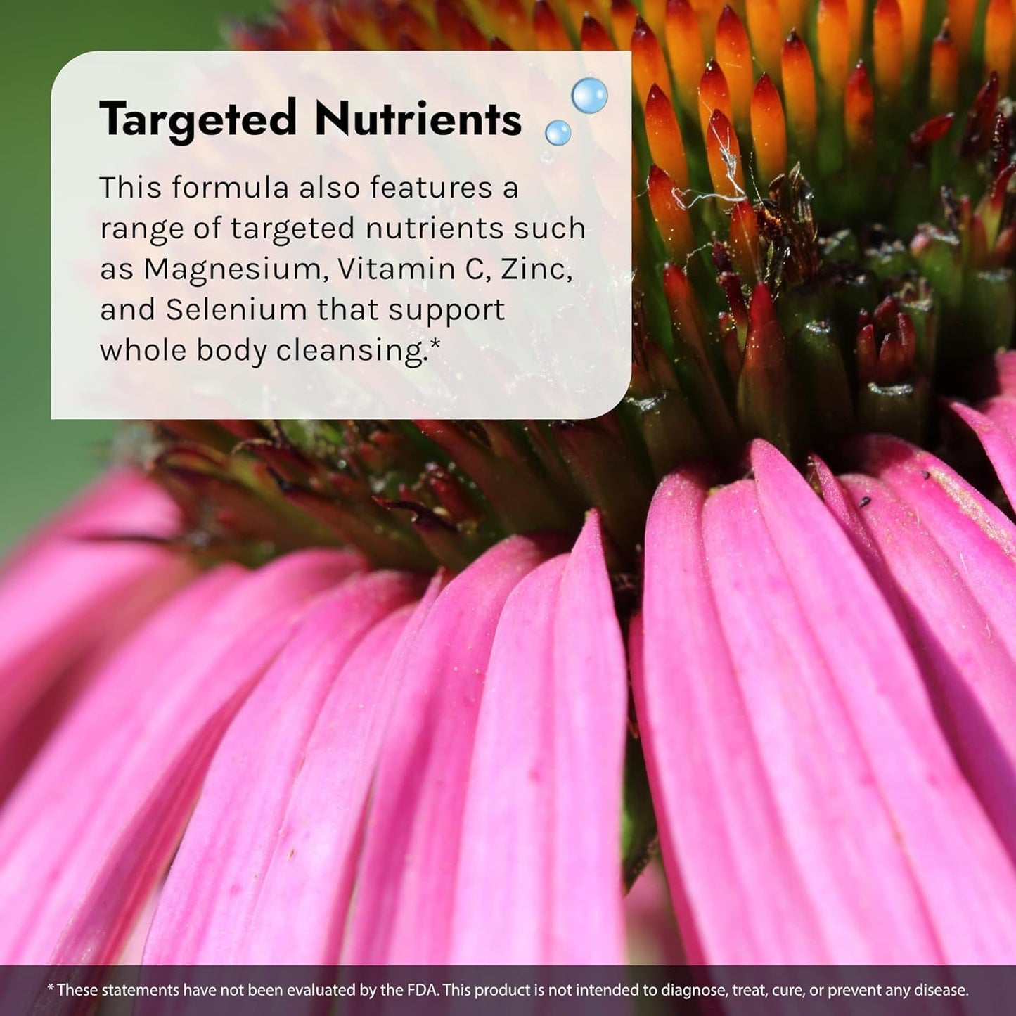 Irwin Naturals Liver Detox & Blood Refresh Softgels - Herbal Cleanse Supplement with Milk Thistle & Dandelion - Antioxidant Support - 60 Count