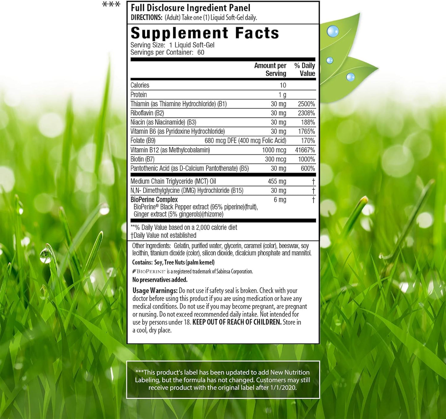 Irwin Naturals Mega B Complex Softgels with Quick Energy MCT's - 60 Count Bundle with Pill Case