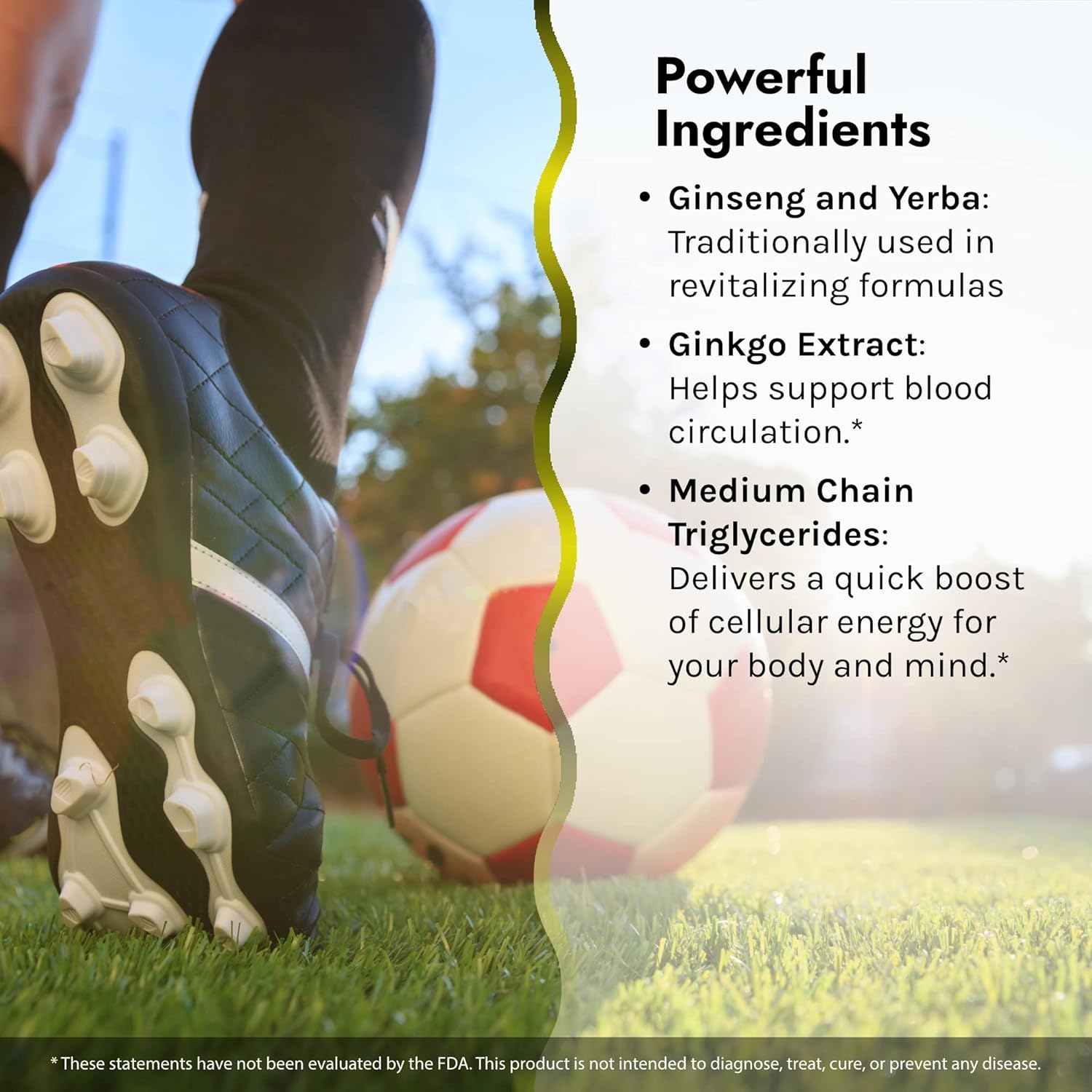 Irwin Naturals Nitric Oxide Pre Sport Supplement with L-Citrulline - 60 Liquid Softgels + Pill Case