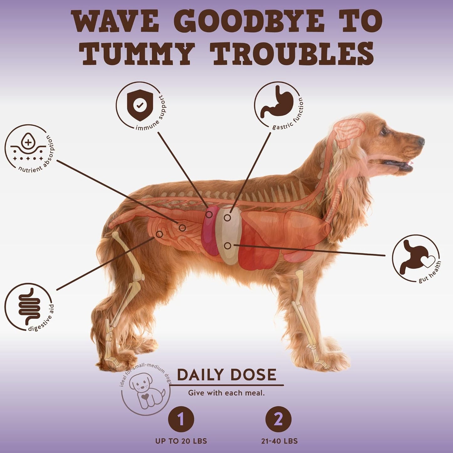 Jack & Pup Probiotic Chews for Small to Medium Dogs - Pet Probiotics for Puppies (60ct)