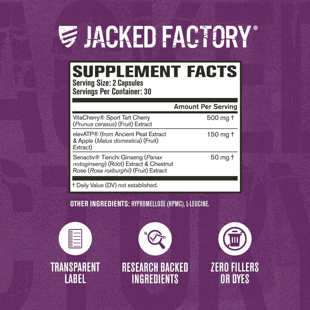 Jacked Factory Build-XT for Women with VitaCherry, ElevATP, & Senactiv - Muscle Growth Supplement for Women - 60 Count