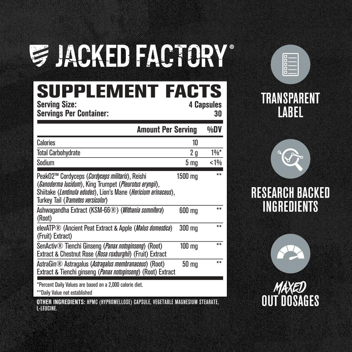 Jacked Factory Build-XT Max Muscle Builder - ATP Supplement for Muscle Recovery, Growth, & Endurance - 120 Count