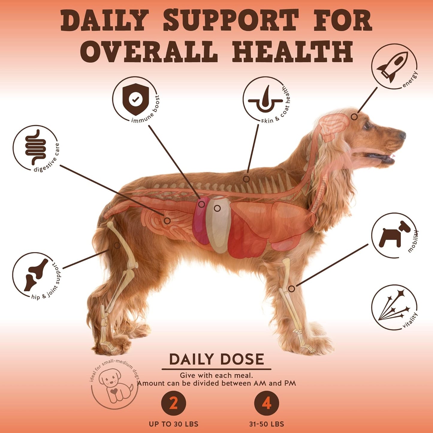 Jack&Pup Dog Multivitamin Chewable Tablets - 120ct - Daily Vitamins for Dogs of All Ages - Immunity, Joint, Digestion, Skin & Coat Health - Bark Buddies Formula