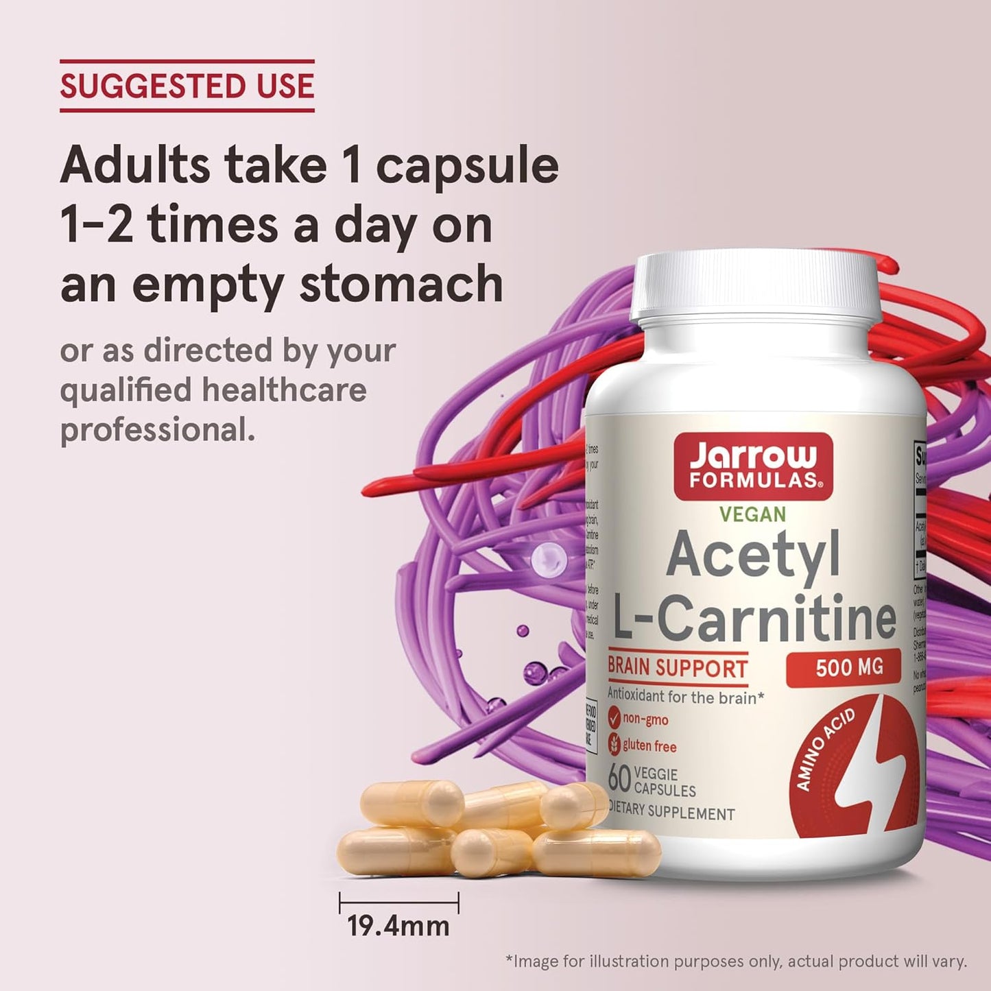 Jarrow Formulas Acetyl L-Carnitine 500 mg - Brain Health and Antioxidant Support (60 Veggie Capsules)