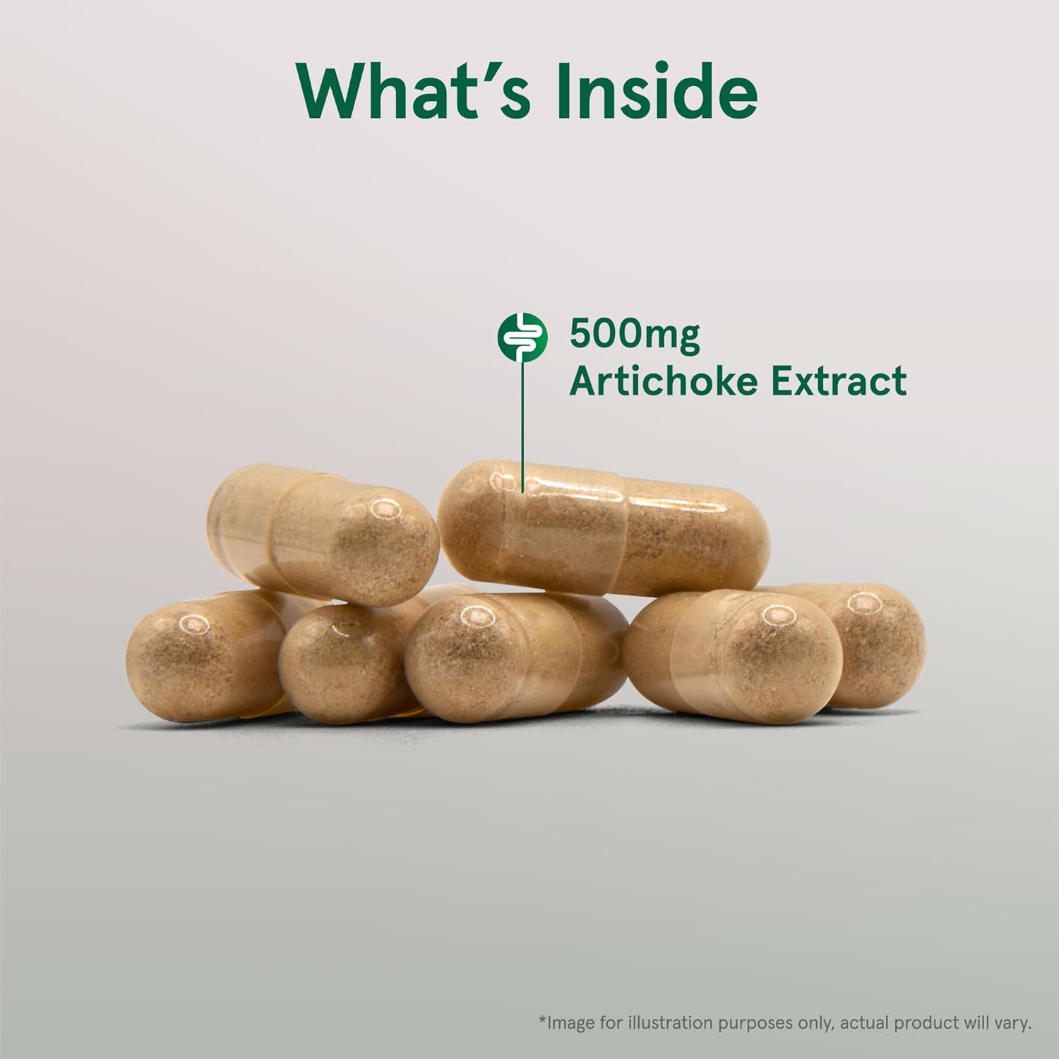 Jarrow Formulas Artichoke 500 mg Capsules - 180 Count - Standardized Extract for Liver Health & Digestion - White 180 Servings