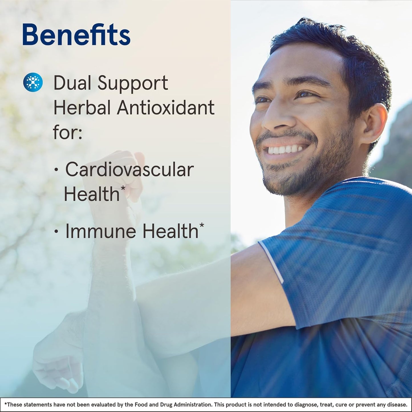 Jarrow Formulas Green Tea Herbal Antioxidant Capsules - 500mg, Cardiovascular & Immune Support, 100ct