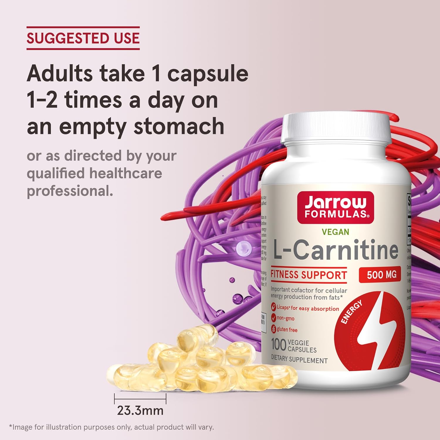 Jarrow Formulas L-Carnitine 500 mg - 100 Veggie Licaps - Energy Production Supplement - Vegan - Pack of 12