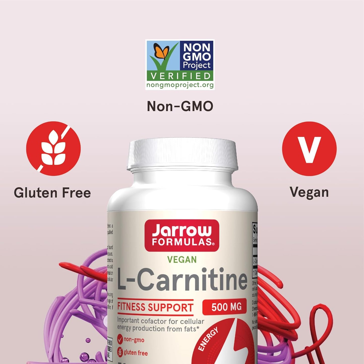 Jarrow Formulas L-Carnitine 500 mg Dietary Supplement - Supports Cellular Energy - 600 Veggie Capsules for 600 Day Supply