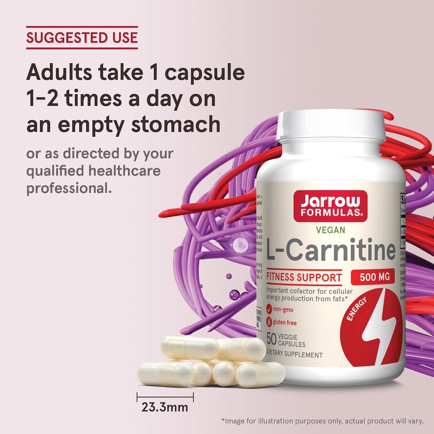 Jarrow Formulas L-Carnitine 500 mg Dietary Supplement - Supports Cellular Energy - 600 Veggie Capsules for 600 Day Supply