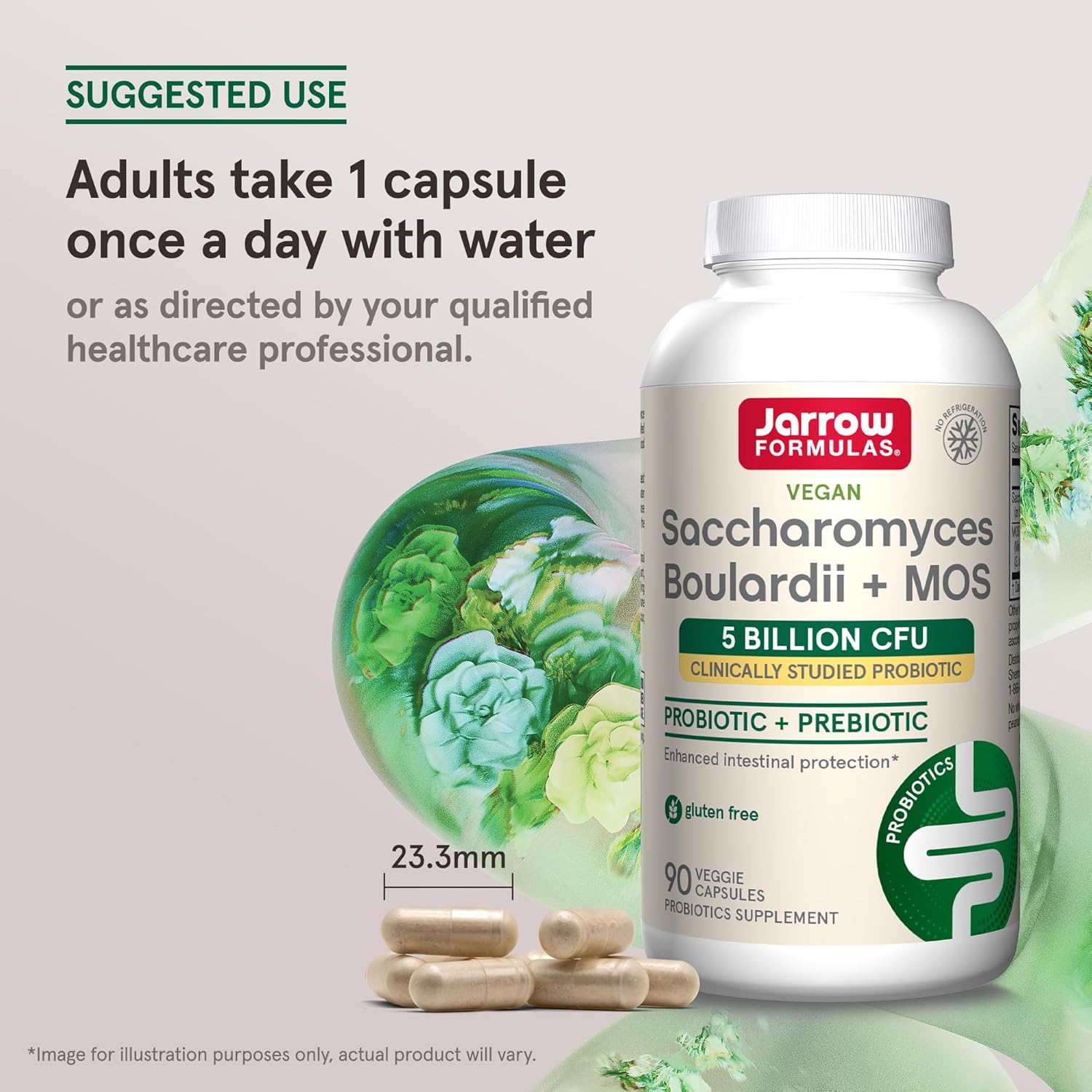 Jarrow Formulas Saccharomyces Boulardii Probiotics + MOS 5 Billion CFU - Intestinal Health Support, Gut Health Supplement, 90 Veggie Caps, Pack of 12