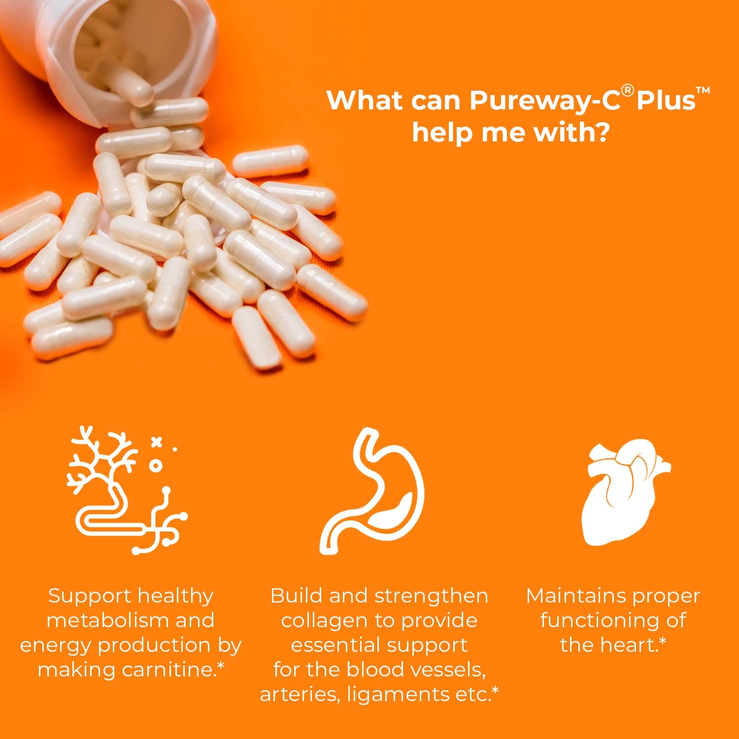 Jigsaw Health Bundle: Pureway-C® Plus™ & Alaskan Cod Liver Oil™ Softgels for Enhanced Wellness