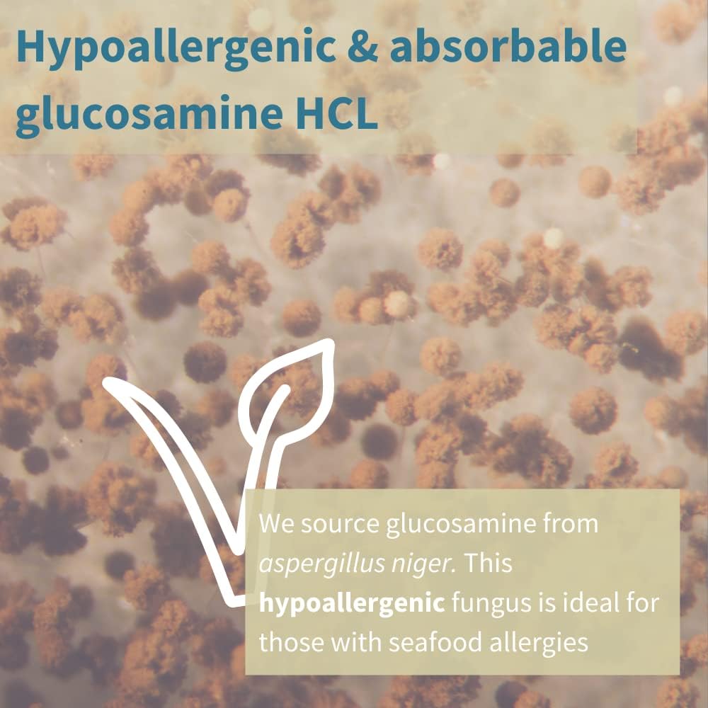 Joint Health Support Supplement with Glucosamine, Fish Oil, Evening Primrose Oil, Vitamin C & E - 60 Softgels