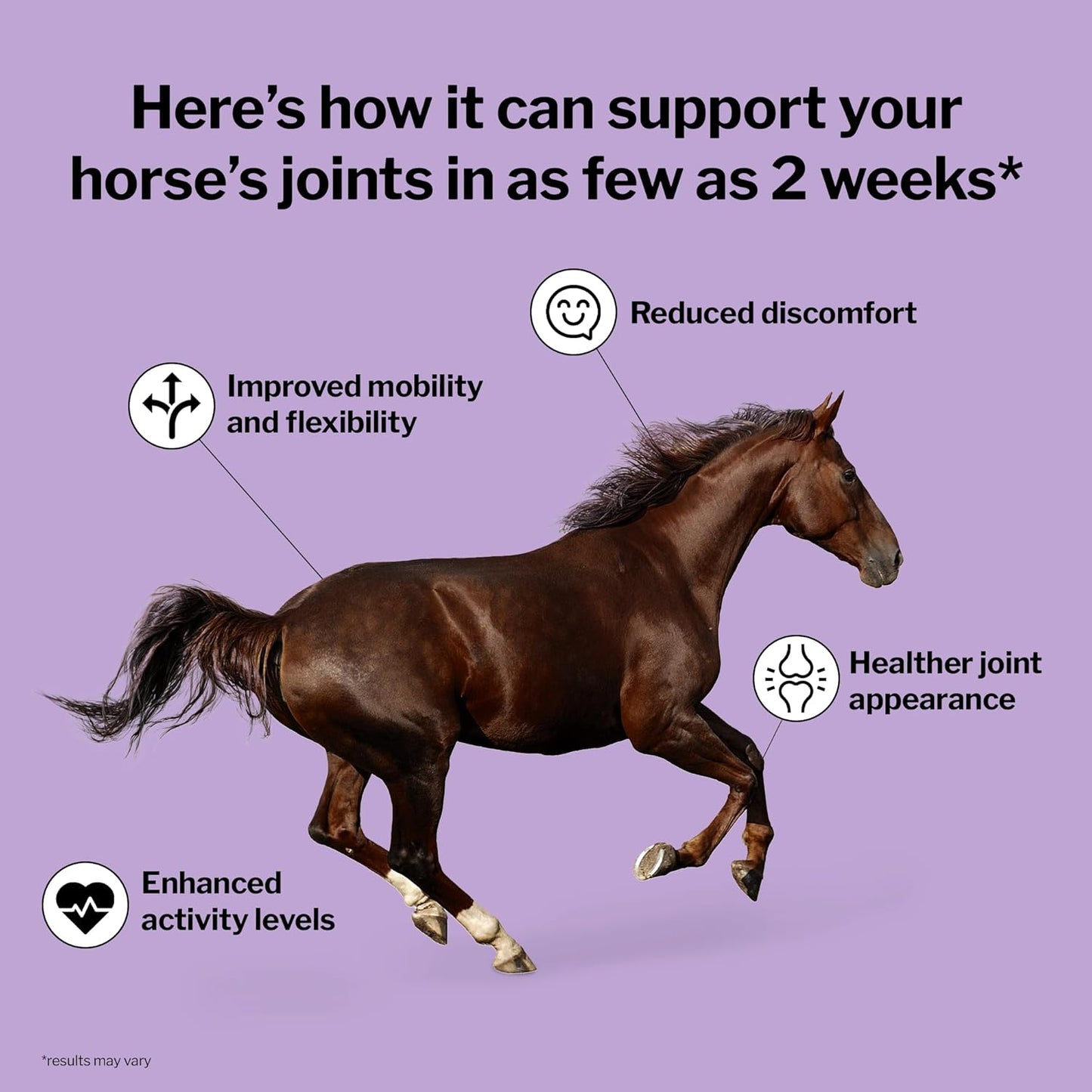 Joint Integrity and Inflammatory Response Support for Horses - Equine Supplement with Green-Lipped Mussel, MSM, Glucosamine, Chondroitin, Collagen - Daily Fresh Packs