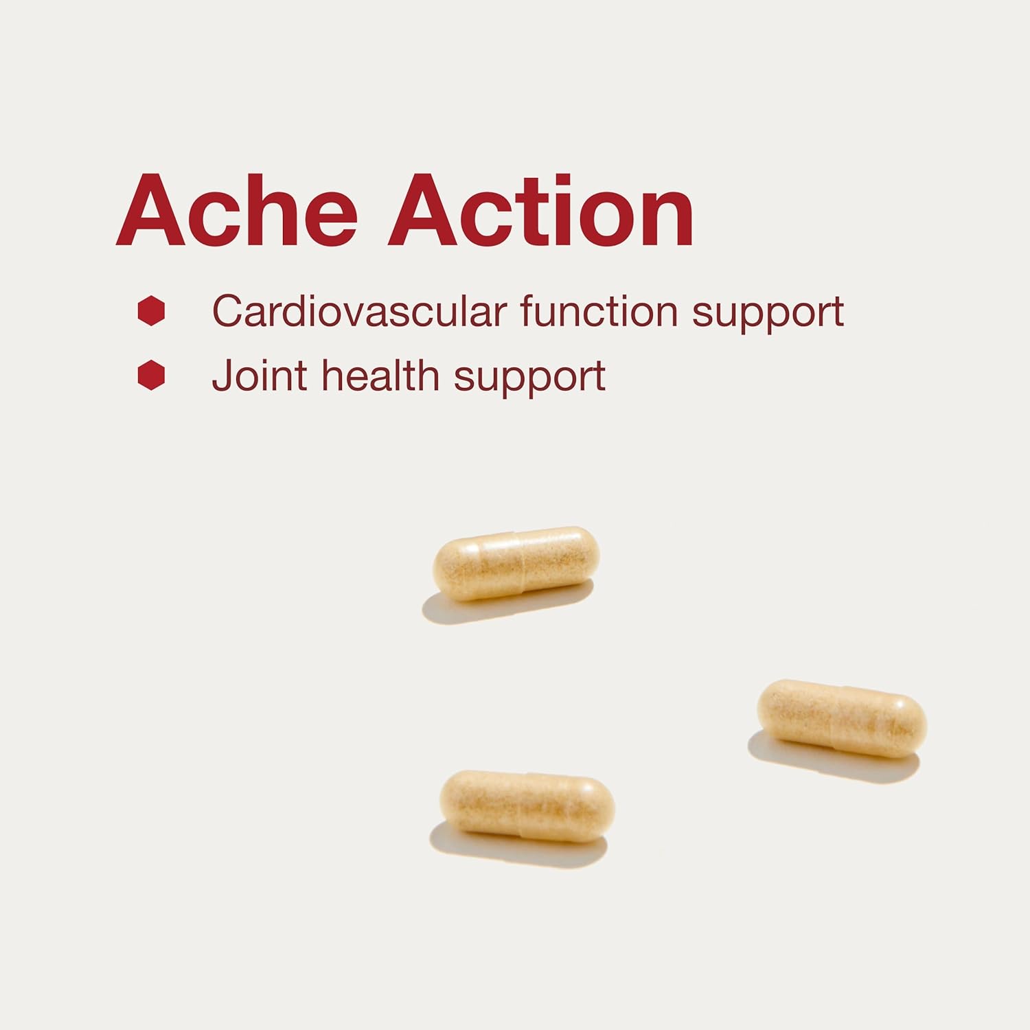 Joint Support Supplement for Men and Women - Ache Action Protocol for Life Balance - 120 Veg Caps - Target Overuse Joint Ache
