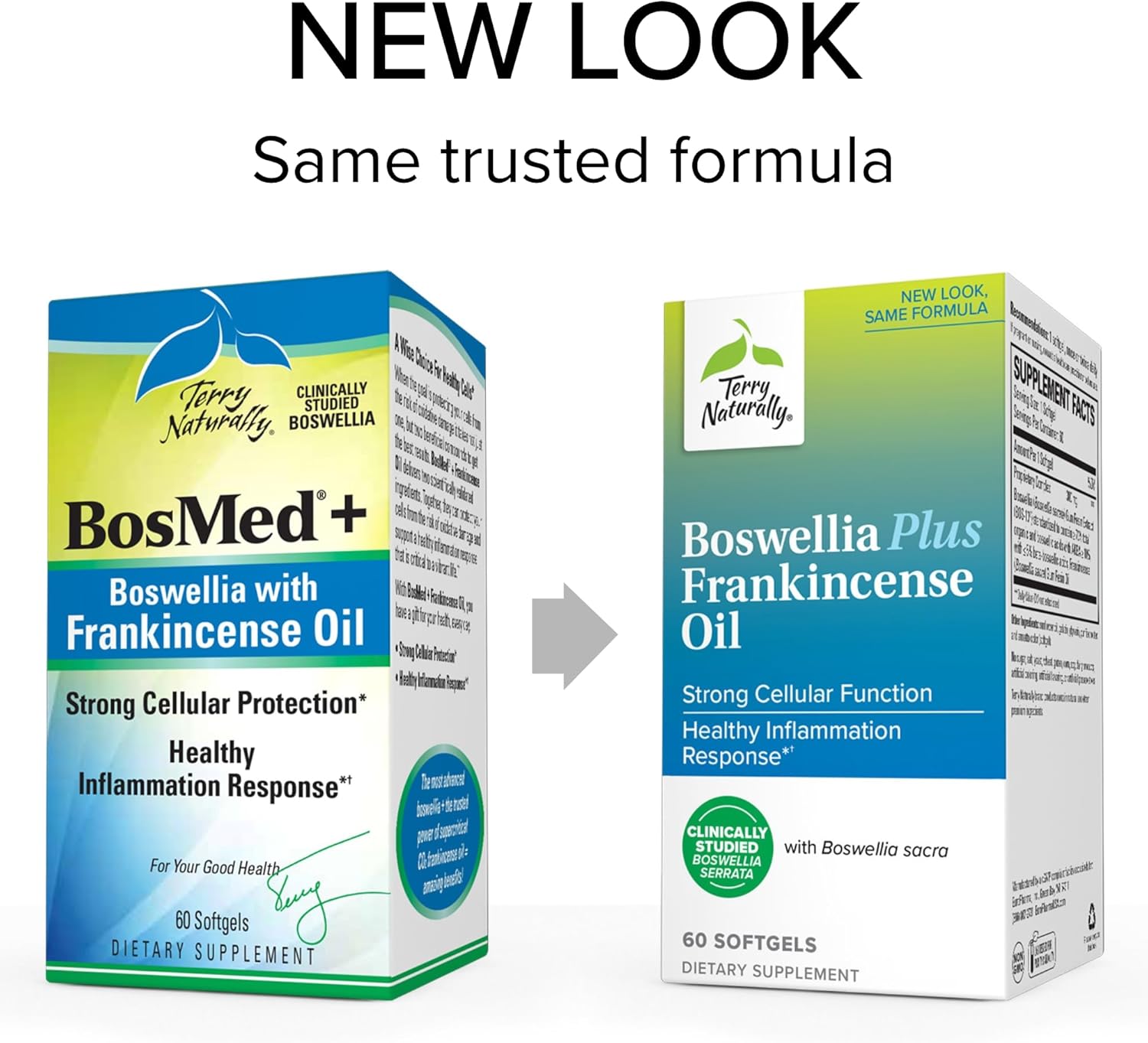 Joint Support Supplement with Boswellia & Frankincense Oil for Mobility & Comfort - 60 Softgels