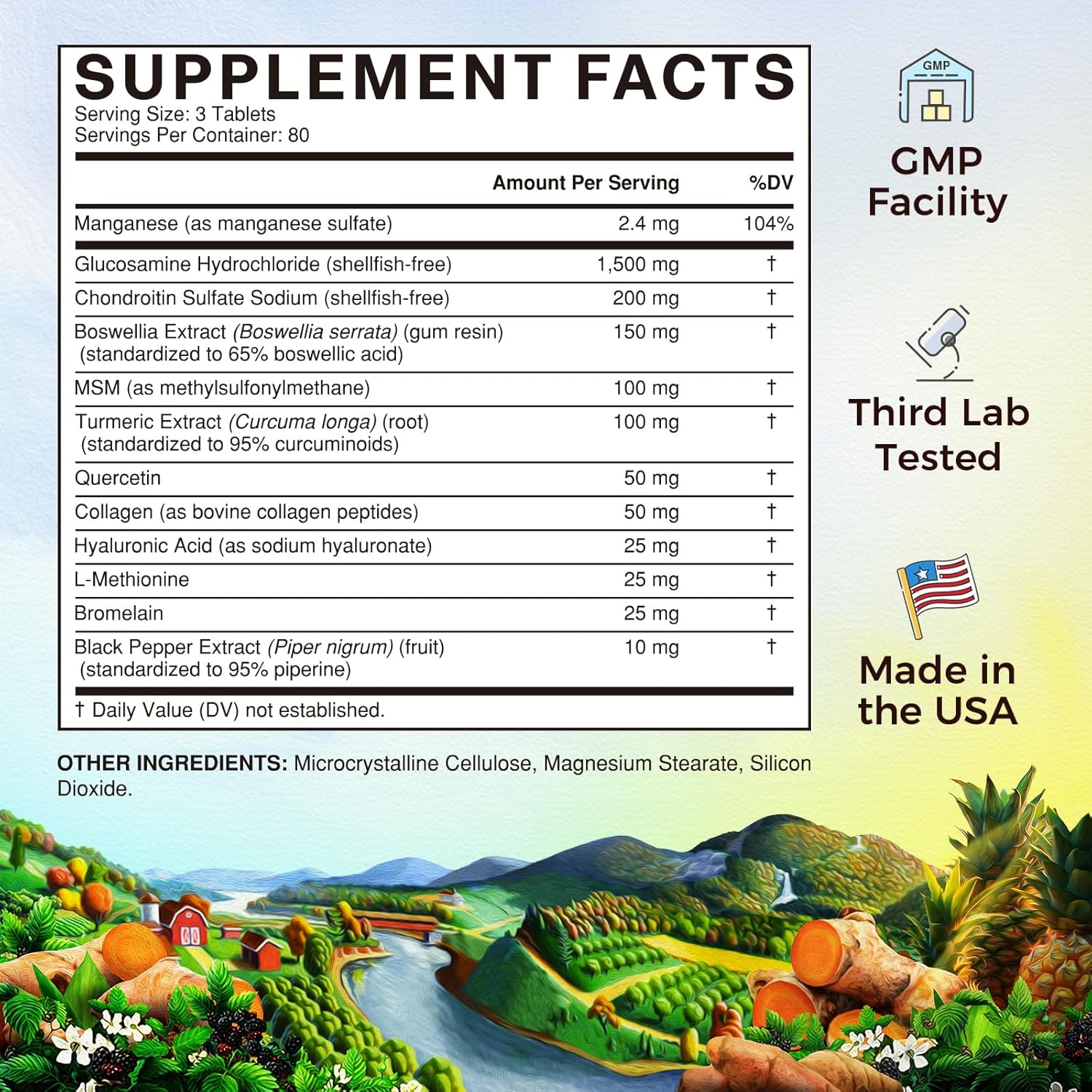 Joint Support Supplement with Glucosamine, Chondroitin, MSM, and Turmeric | 12 Ingredients for Joint Health | 240 Tablets, Shellfish-Free