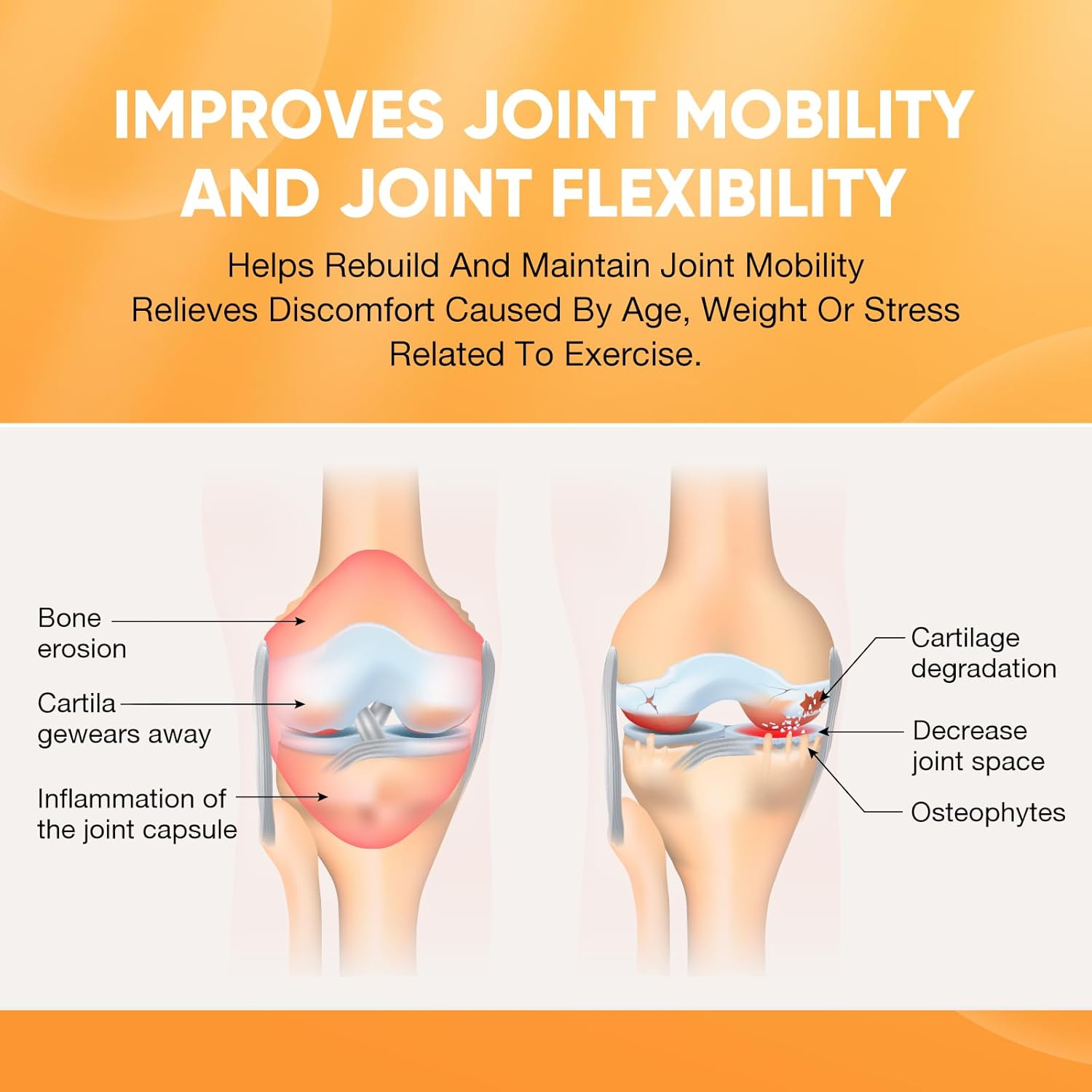 Joint Support Supplement with Glucosamine, Chondroitin, MSM, and Vitamin D3 - Shellfish Free, Non-GMO Formula for Inflammation, Flexibility, and Bone Health