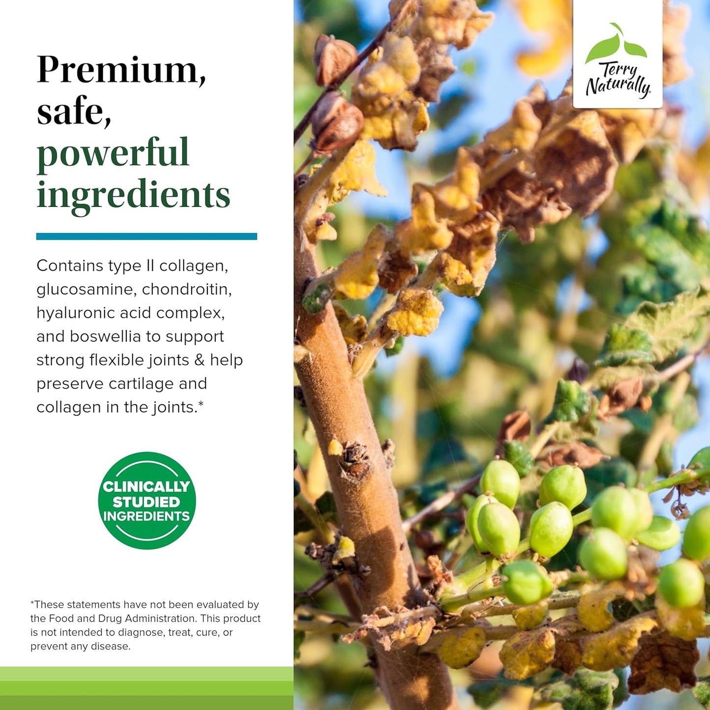 Joint Support Supplement with Type II Collagen, Glucosamine, and Chondroitin - Terry Naturally Be Mobile - 60 Capsules - Non-GMO, Gluten Free - 20 Servings