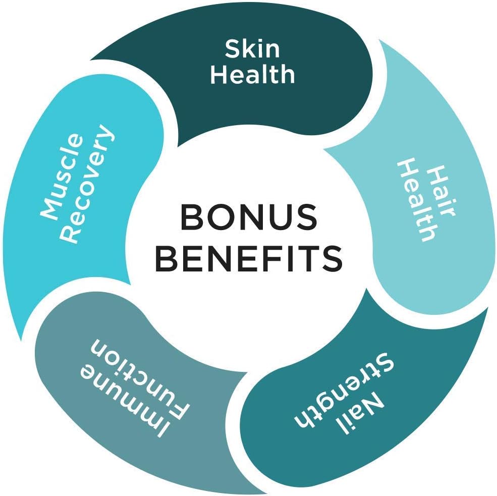 JointGel Bundle: Berry Flavor HA Joint Formula with Collagen Peptides, MSM, and Hyaluronic Acid for Joint Health and Flexibility