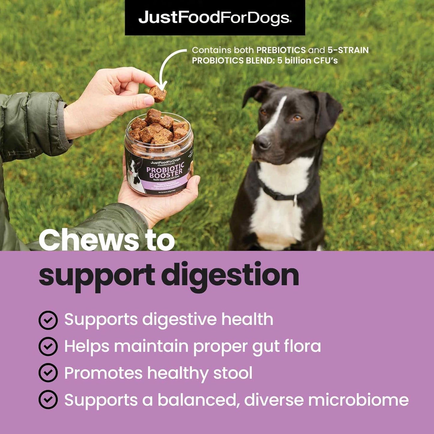 JustFoodForDogs Probiotic Soft Chews Supplement - 45 Count - Dog Gut Health, Digestive Support, Diarrhea Relief - Human Grade Ingredients