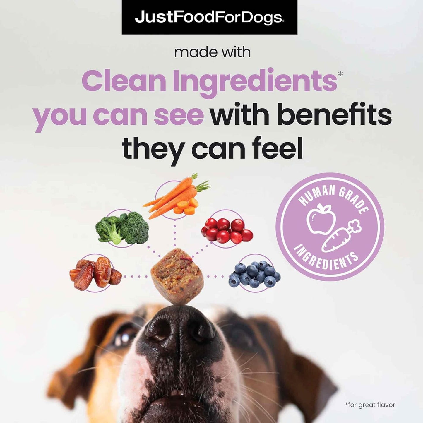JustFoodForDogs Probiotic Soft Chews Supplement - 45 Count - Dog Gut Health, Digestive Support, Diarrhea Relief - Human Grade Ingredients